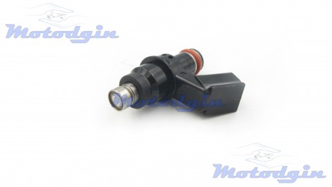 Форсунка инжектора WH110 44mm 6 holes