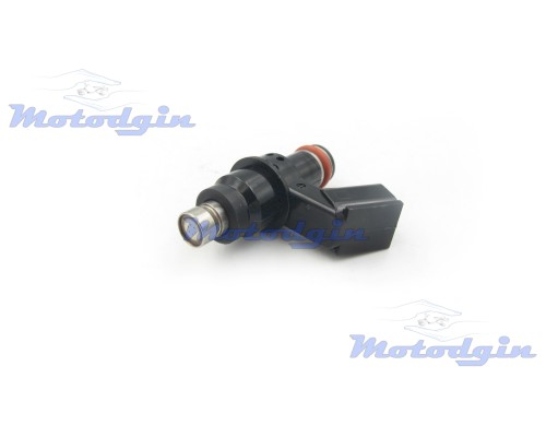 Форсунка инжектора WH110 44mm 6 holes