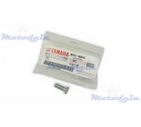 Гвинт кріплення сегмента валу кпп Yamaha YBR125