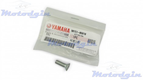 Гвинт кріплення сегмента валу кпп Yamaha YBR125
