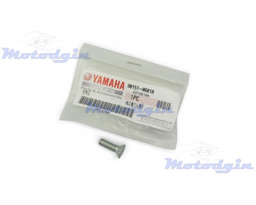 Гвинт кріплення сегмента валу кпп Yamaha YBR125