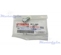 Болт гальмівного диска Yamaha YBR 125 2005–2017р