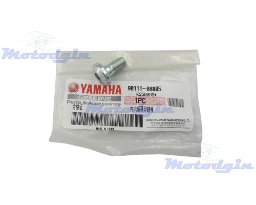 Болт гальмівного диска Yamaha YBR 125 2005–2017р