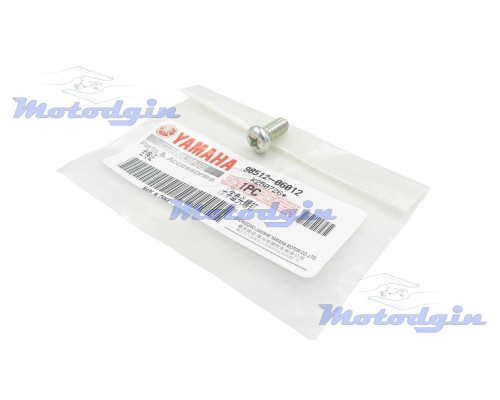 Гвинт пластини шестерні стартера Yamaha YBR 125