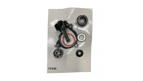 Ремкомплект помпи Yamaha YP250