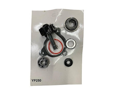 Ремкомплект помпи Yamaha YP250
