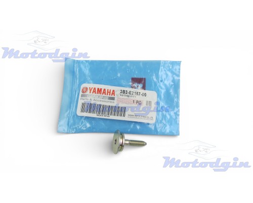 Болт кріплення стабілізатора ланцюга верхнього Yamaha Gear UA06J / SA36