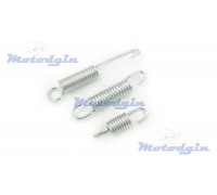 Пружини підніжки Delta / Alpha комплект