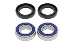 Підшипники переднього колеса Yamaha FJR 1300 / FZ / MT Allballs 25-1403