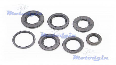 Сальники Suzuki Address 100