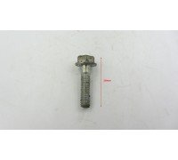 Болт Honda фланцевий М6 Уцінка
