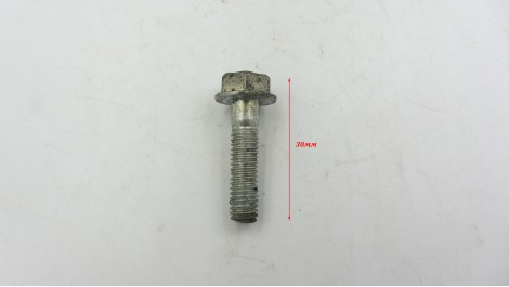 Болт Honda фланцевий М6 Уцінка